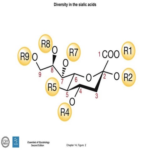 estimation of gangliosides by LCMS and other techniques