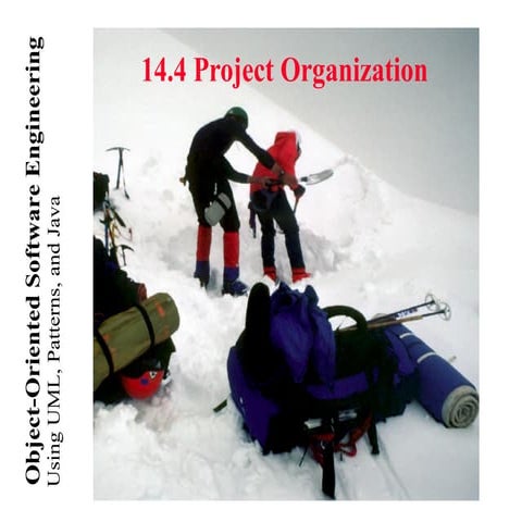 Project Organization Concepts in Software Engineering | PPTX