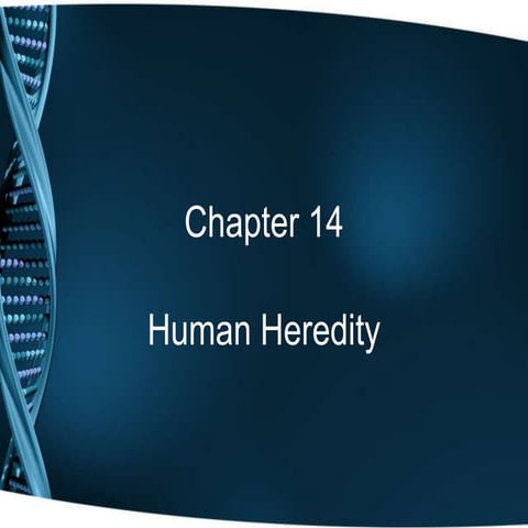 Ch14 notes website | PPT