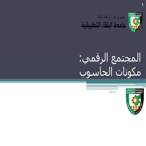 ch1 (5).pdf كتاب مجتمع رقمي  شابتر واحد جامعة