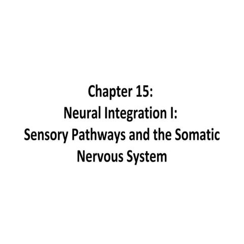 Ch 15 sensory pathways