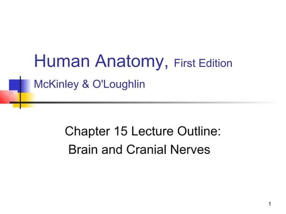 Ppt Chapter 15 Cranial Nerves Powerpoint Presentation Visual System: