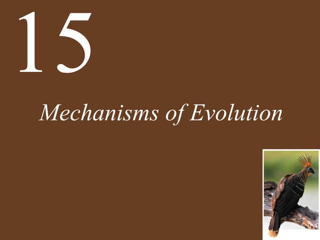 Ch15 lecture mechanisms of evolution