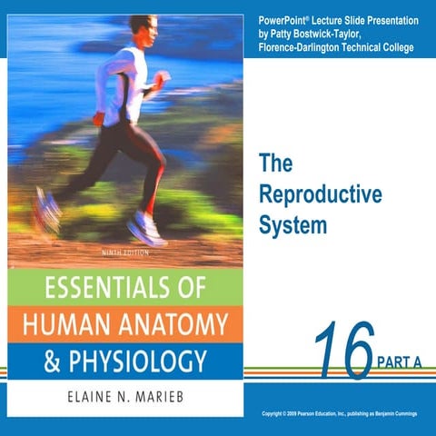 Ch16appt reproductive