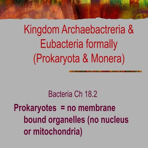 Different Types and Characteristics  of Bacteria