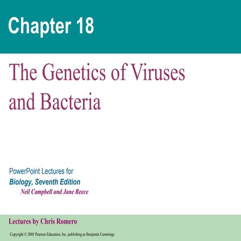 Ch18 virusbacteriagenetics