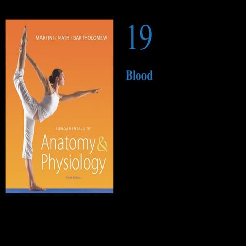  169 Ch 19_lecture_presentation