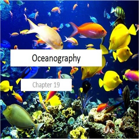 Ch 19 ppt