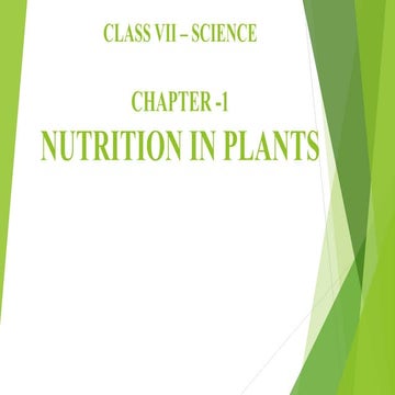 Ch 1 Nutrition in Plants 2.pptx.pdf class 4 to 10