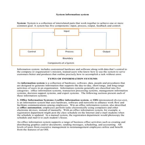 System and System Information System
