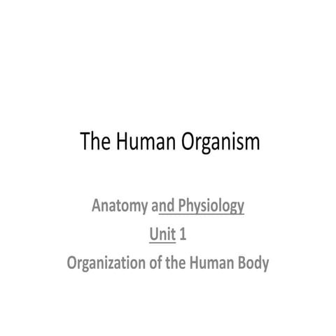 comprehensive-medical-foundations-human-body-systems-and-clinical