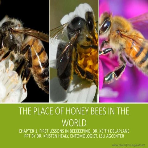 Ch 1 The Place of the Honey Bee in the World by Dr. Kristen Healy, Entomologi...