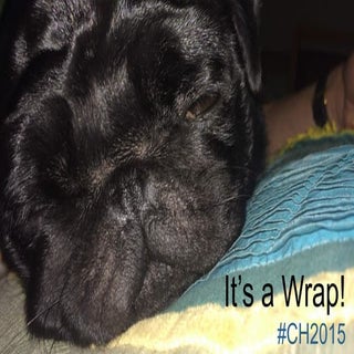 Craig Sullivan - Keynote speaker su...