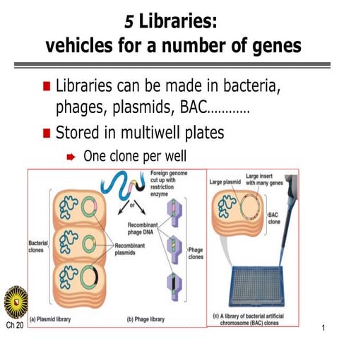 Hoofdstuk 20 2008 deel 2
