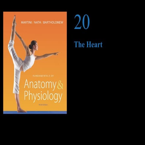  169 Ch 20_lecture_presentation