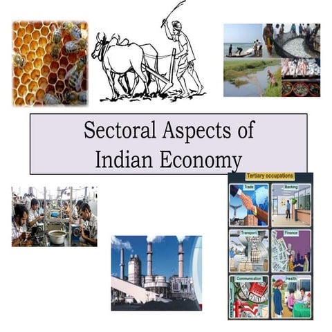 NIOS STD X  Economics Ch 20 sectoral aspets