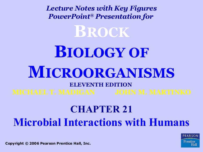 Microbiology Bio 127 Microbial Interactions with Humans (normal flora)