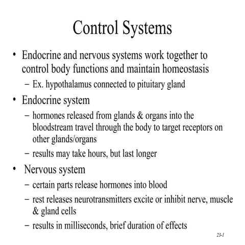 THE HUMAN CONTROL SYSTEM (HUMAN ANATOMY) | PPT