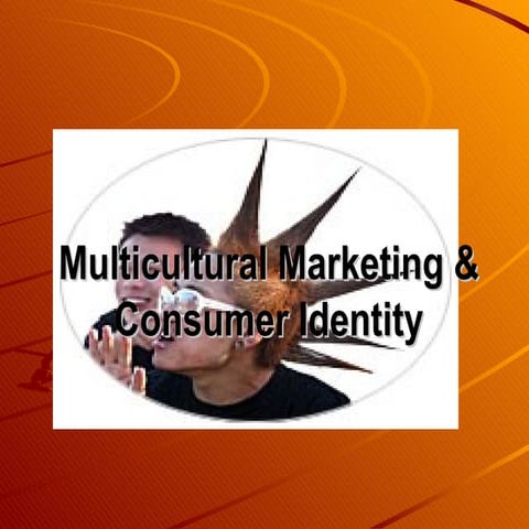 Consumer Identity In A Multicultural Society