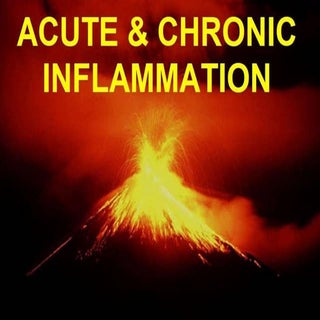 Inflammation acute and chronic