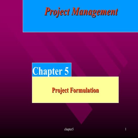 Project Formulation | PPTX