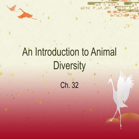 AP Biology Ch  27 Introduction to Animal Diversity