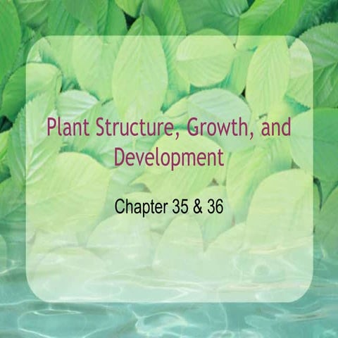 Ch35_36_Plant Structure, Growth, and Development.ppt