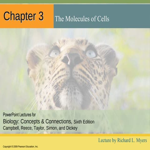 Ch 3 molecules_of_cells_lecture_presentation (1)
