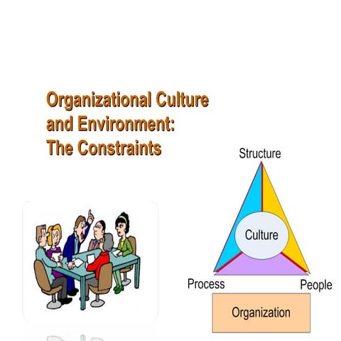 Organizational Culture and Environment -The Constraints