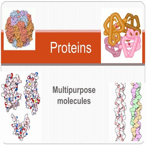 ch 3 proteins structure ppt.ppt