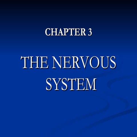 Nervous system parts of the nervous system