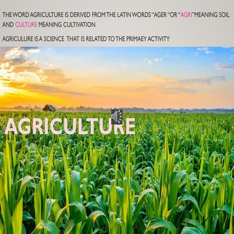 Grade 8 Geography  Agriculture chapter PPT