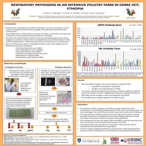 Respiratory pathogens in an intensive poultry farm in Debre Zeit, Ethiopia