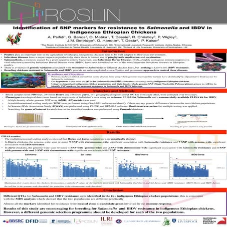 Identification of SNP markers for resistance to Salmonella and IBDV in indige...