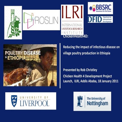 Reducing the impact of infectious disease on poultry production in Ethiopia
