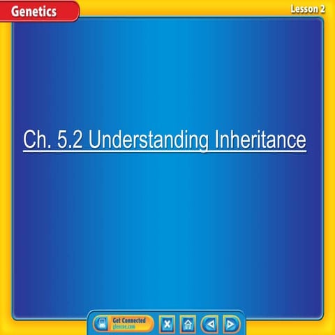 Ch 5 2 understanding inheritance (k)