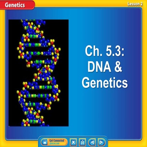 Ch. 5.3 DNA