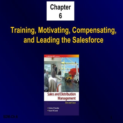 Training, Motivating, Compensating, and Leading the Salesforce