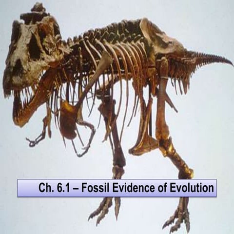 Ch. 6.1 Fossils & Geologic Time