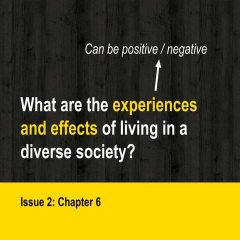 Ch 6 - Experiences living in diverse society