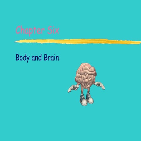 Ch 6 brain body Reg. Psych2011