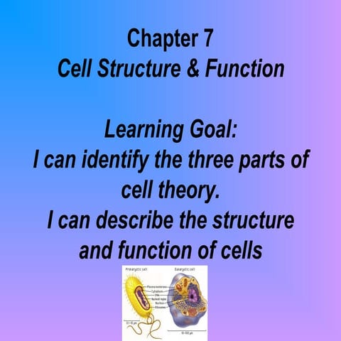 Ch 7 Cell Structure and Function jhgjhgjj.ppt