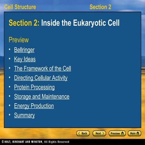 ch7_sec2.ppt Holt Biology chapter 7 section 2 | PPT