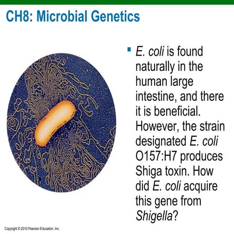 Ch8 microbial genetics
