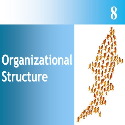 Principi del Management - Strutture Organizzative