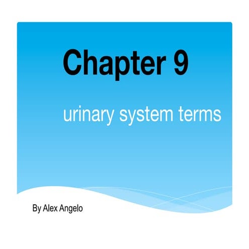 Diagnostic Procedures Of The Urinary System | PPT