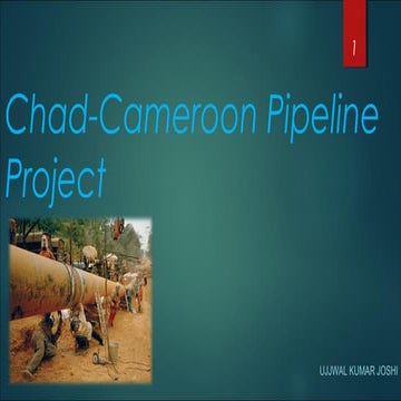 Chad cameroon pipeline project