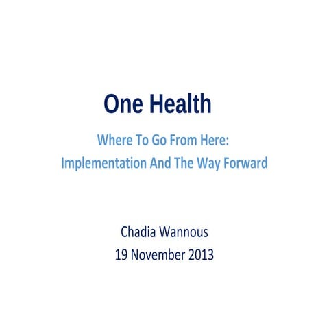 Chadia presentation  19 nov 2013