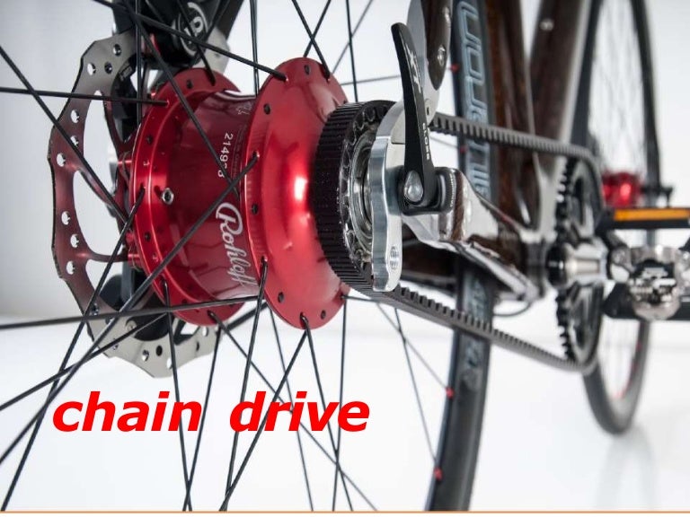 Chain drive system