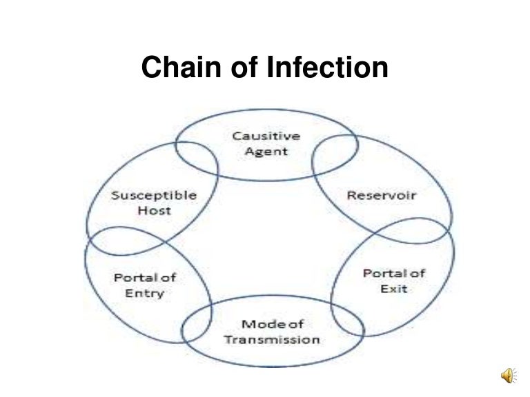 Chain of infection